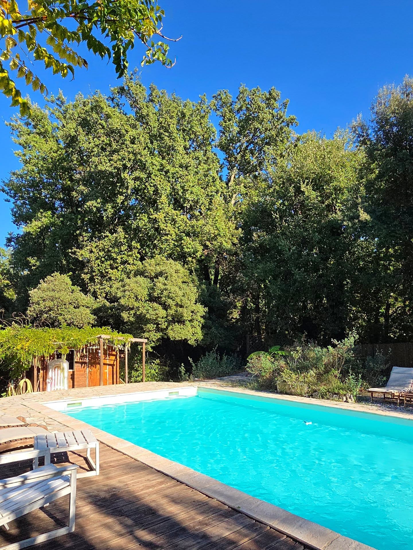 🌿 Octobre à Saussines ✨
Ici, l’automne se fait doux… Le ciel reste bleu, les journées ensoleillées et les températures agréables invitent encore à profiter du jardin, des balades en nature… et parfois même d’une baignade 🌿☀️
À la Villa Jema, l’automne est synonyme de sérénité : lumière dorée, nature qui change de couleurs et douceur méditerranéenne. 🍂
Bonne nouvelle :
👉 Il reste quelques places pour la retraite de yoga du 24 octobre
👉 Et pour le séjour poterie du week-end du 7 novembre 🎨
Un mois parfait pour se ressourcer, créer, respirer et savourer l’instant. 💧
📍 Retrouvez toutes les infos sur villajema.fr
#villajema #saussines #octobreensoleillé #séjourbienêtre #retraiteyoga #yogaretreat #séjourpoterie #ceramique #poterie #séjourcréatif #yogalife #languedoc #méditerranée #automediterraneen #momentpoursoi