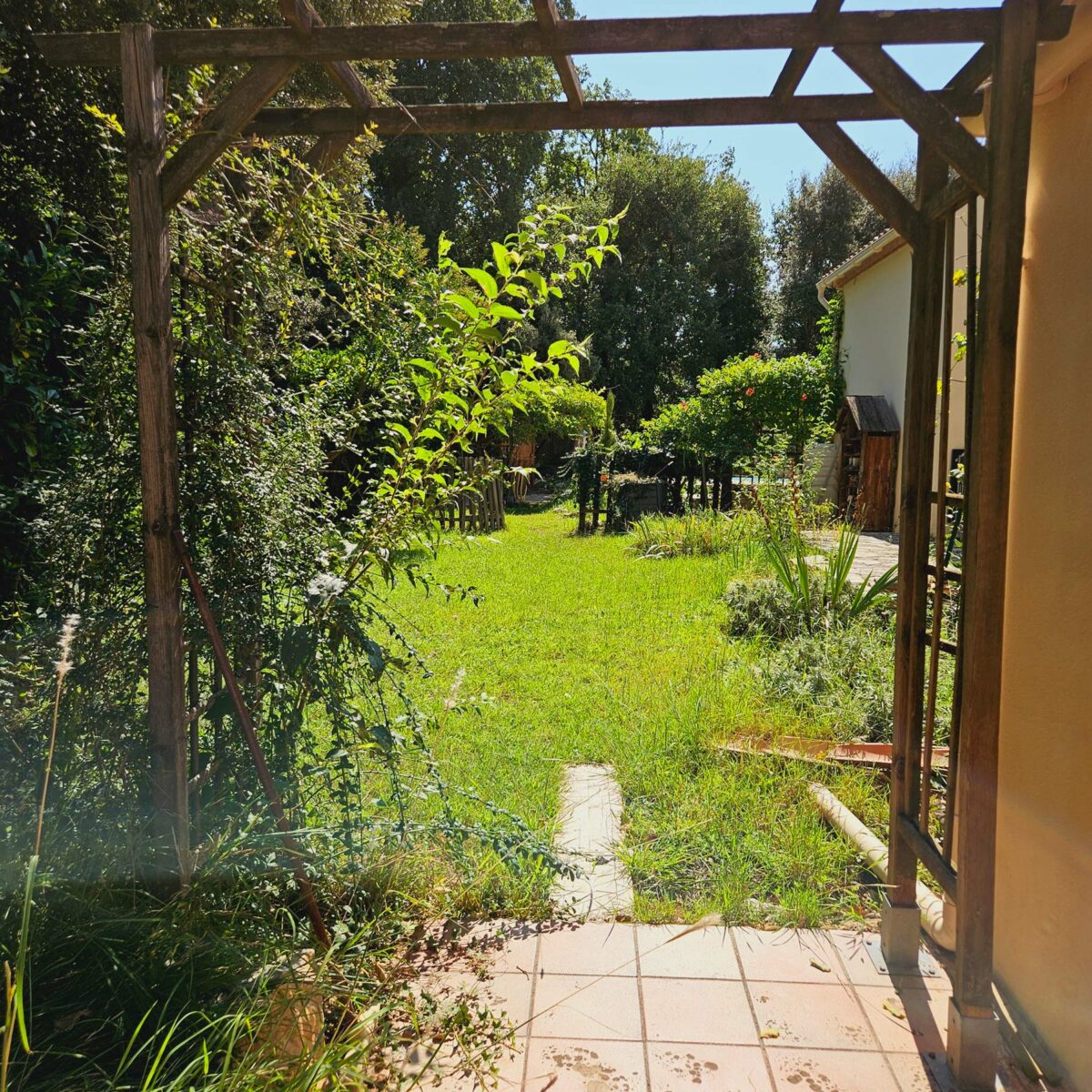 Jardin