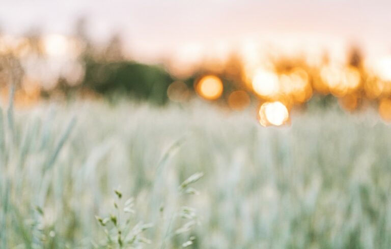 Yoga Naturopathie