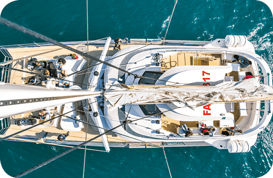 Sortie en mer - Catamaran