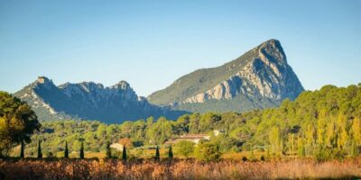 Pic Saint Loup