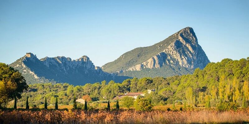 Pic Saint Loup